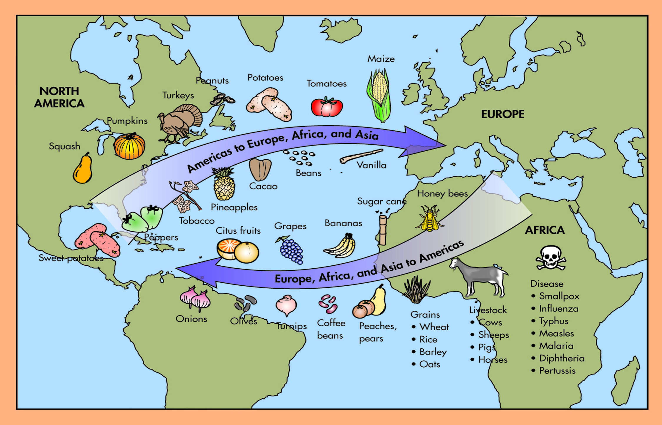 Columbian exchange of foods