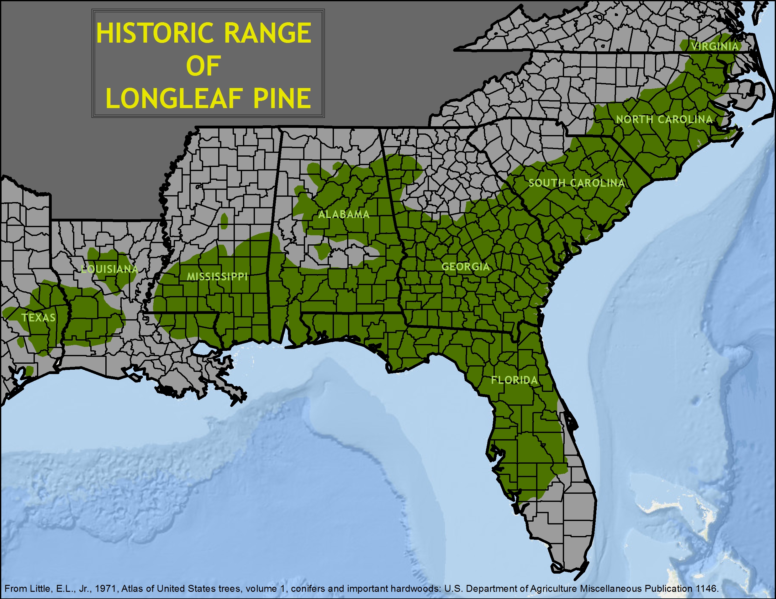 longleaf pine range