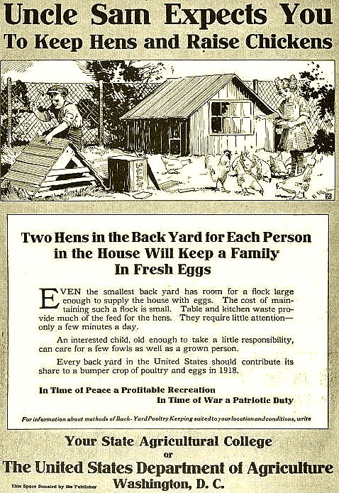 WWI promotion for backyard chickens
