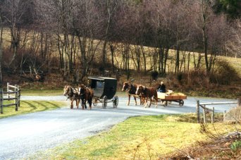 horse
                drawn vehicles used by the Amish