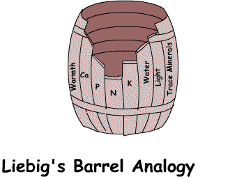 Liebig's
          barrel analogy