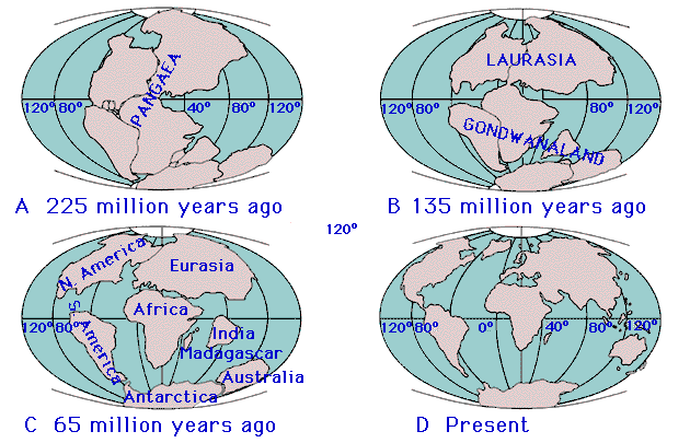 four maps
              showing continental drift