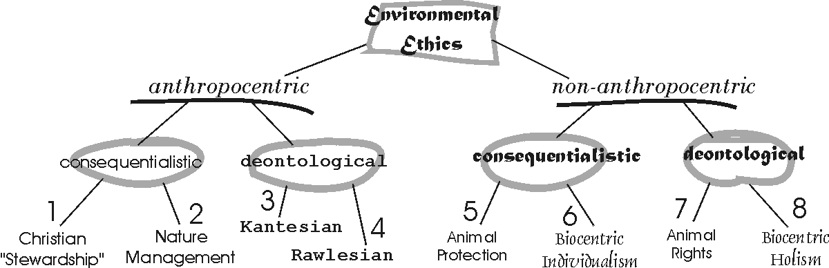 types of environmental ethics