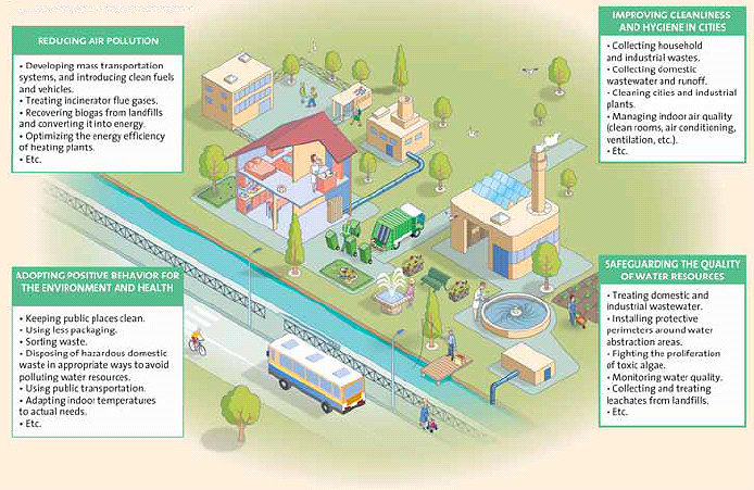 diagram of different things we can do
              for environment