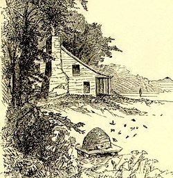 beehive near a house in early America
