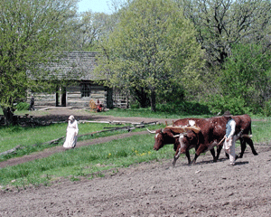 pioneer farm