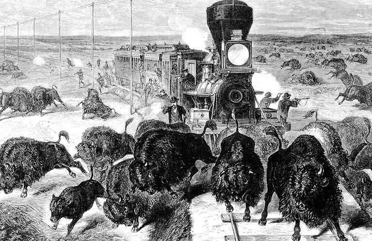 railroad passengers shooting buffalo