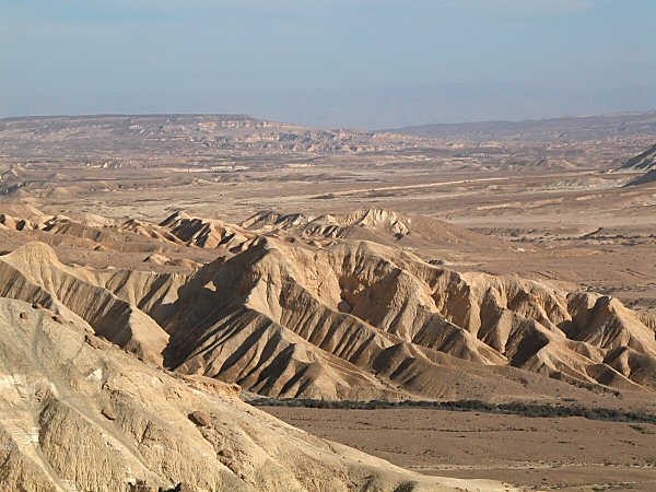 Sinai wilderness