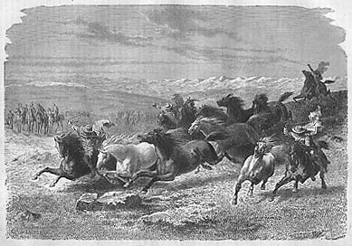 romantic engraving of wild horses in Argentina