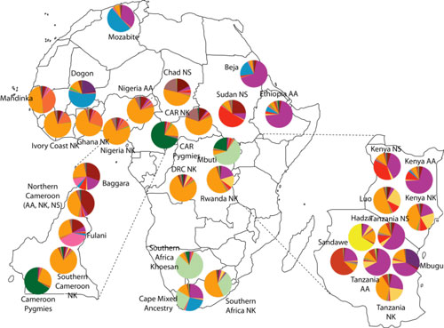 genetic variation in Africa