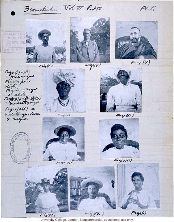 Davenport draft
              illustration for paper on race mixing in Jamaica
