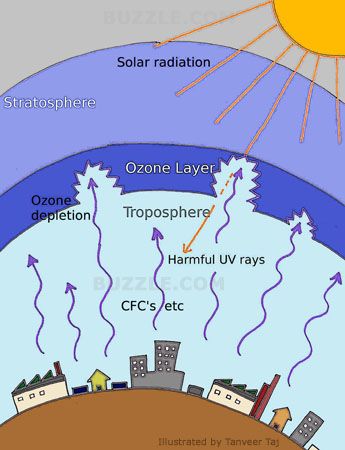 depletion of the ozone
              layer