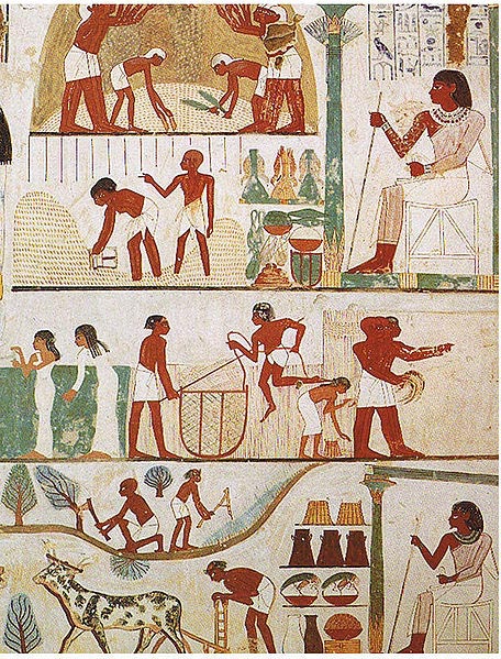ancient Egyptian farming