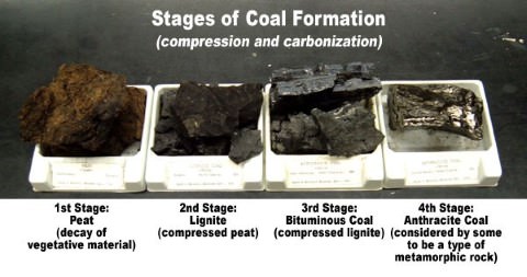 from peat to coal