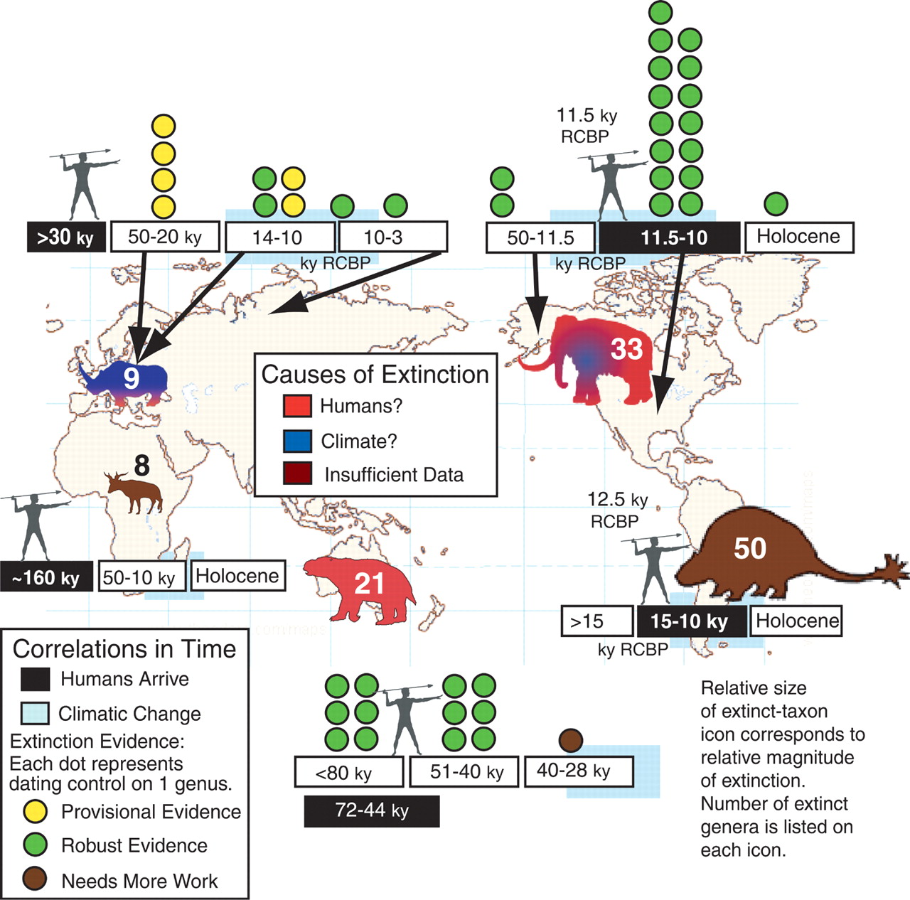 causes of extinction
                of megafauna