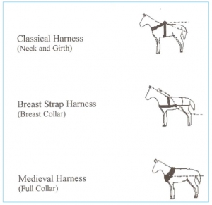 horse harnesses