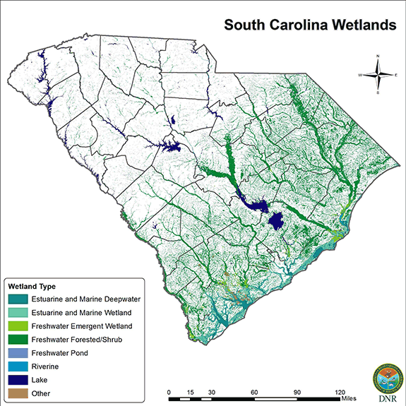 South Carolina wetlands