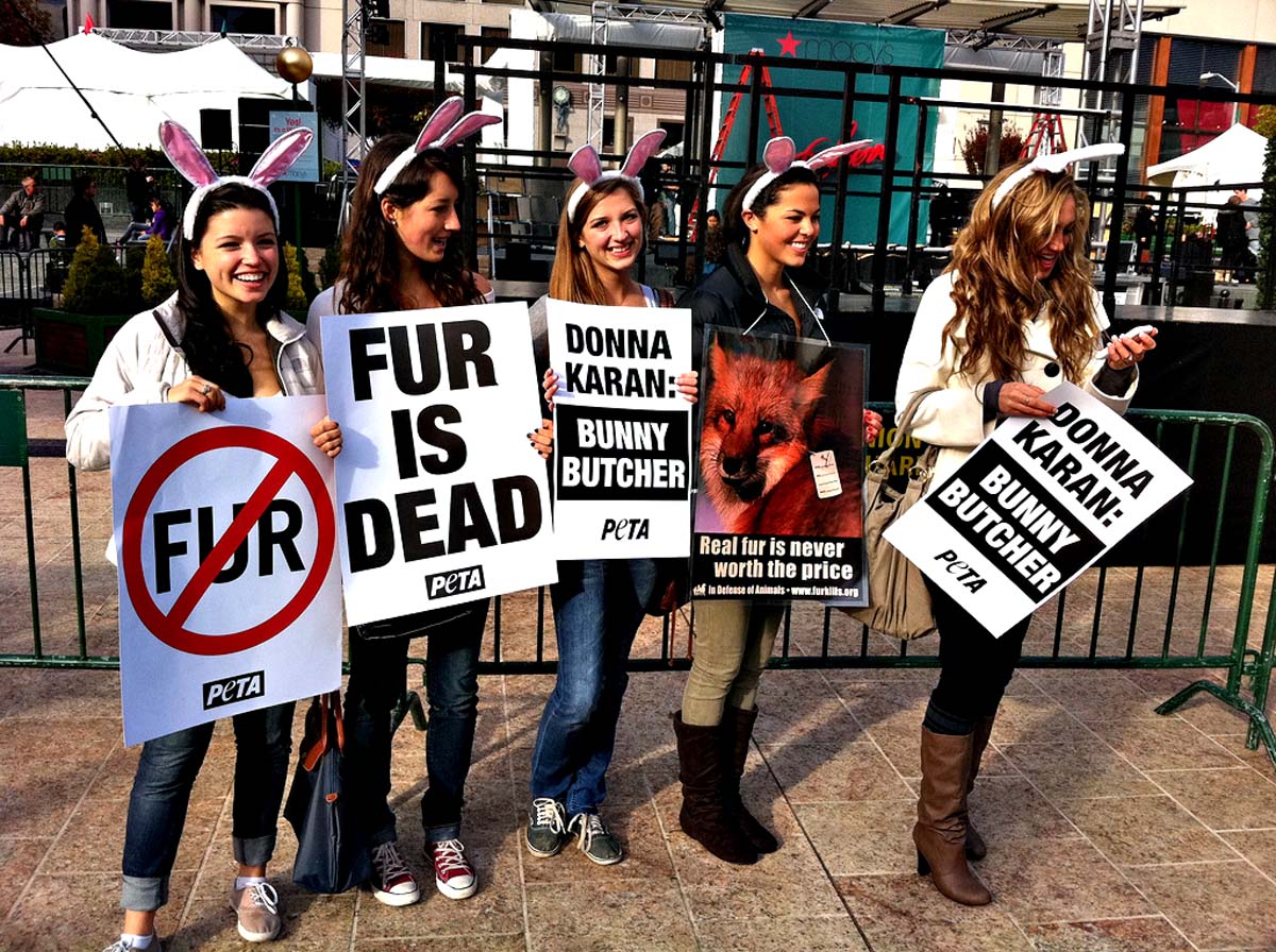 protest against fur