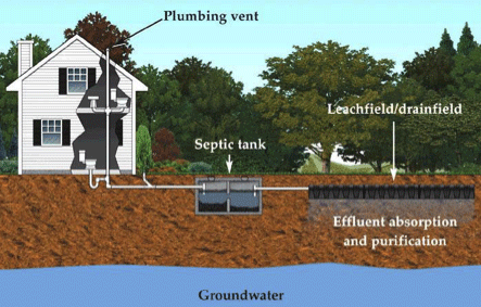 how a septic system works