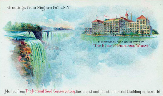 postcard showing the
              factory and the falls
