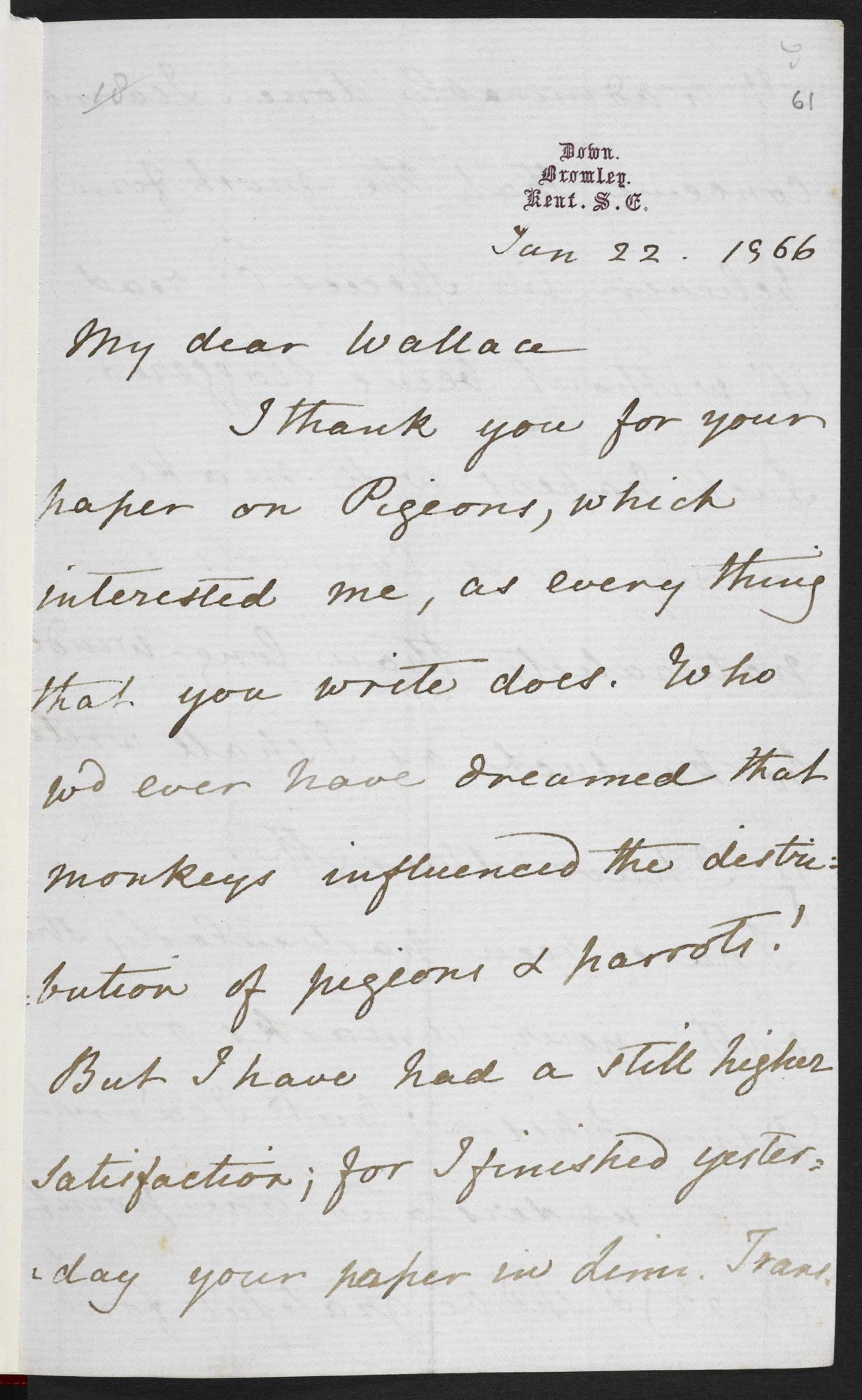 letter from
            Charles Darwin to Alfred Russel Wallace