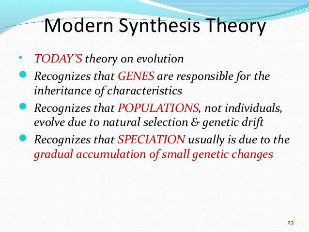summary of
                modern synthesis